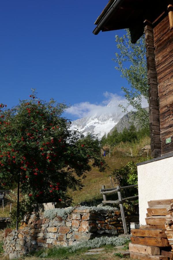Châlet Birkhahn Saas Fee Extérieur photo