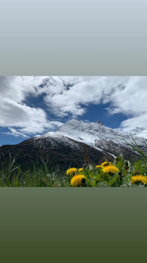 Châlet Birkhahn Saas Fee Extérieur photo