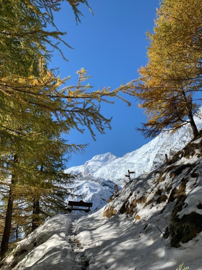 Châlet Birkhahn Saas Fee Extérieur photo