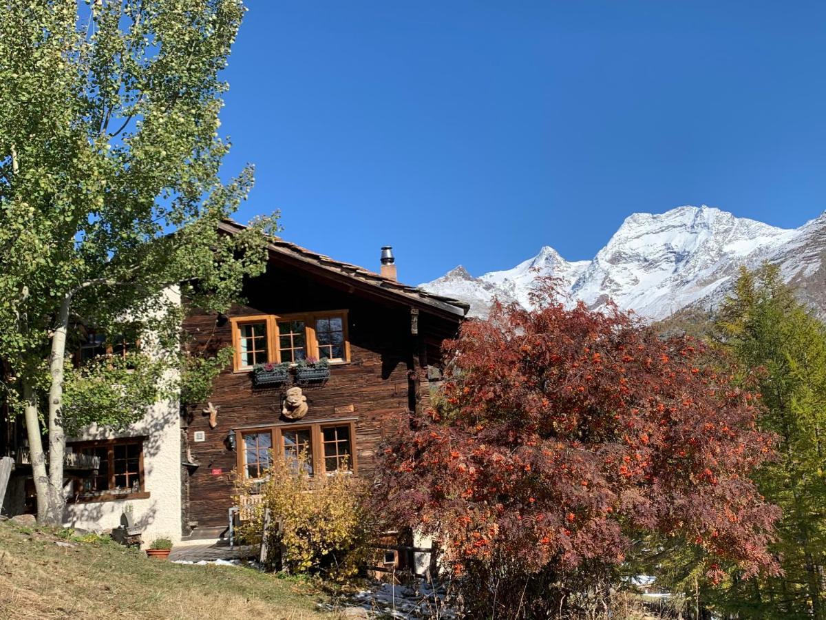 Châlet Birkhahn Saas Fee Extérieur photo