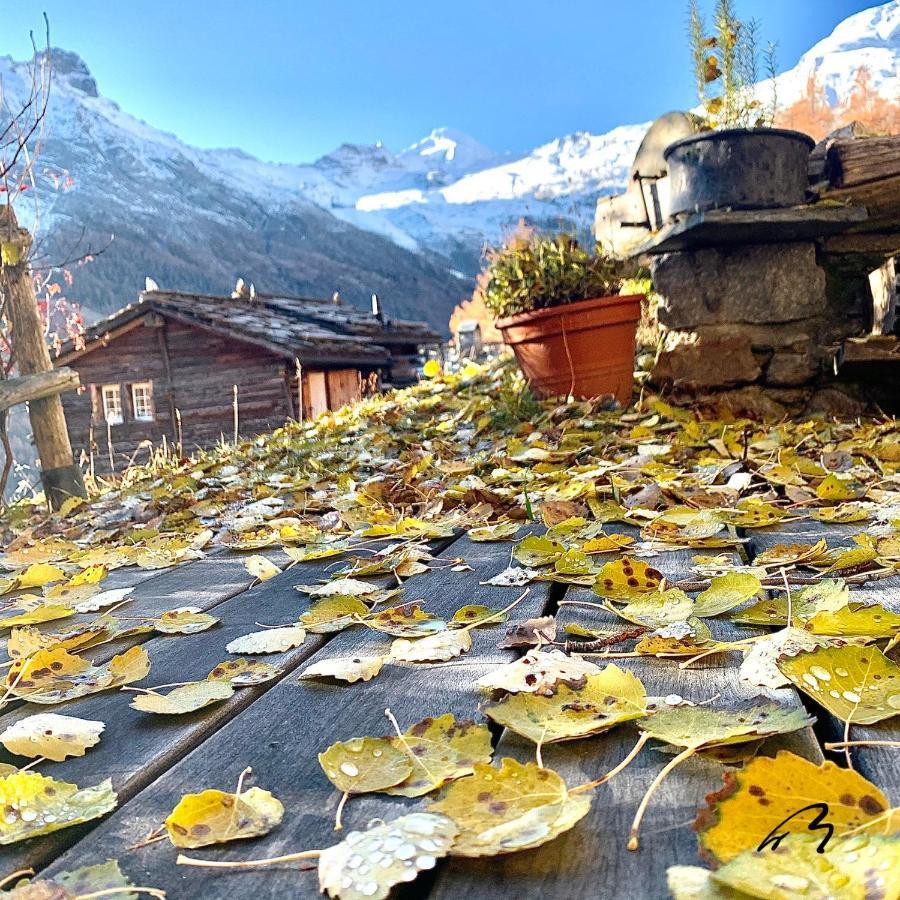 Châlet Birkhahn Saas Fee Extérieur photo